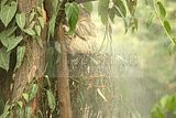 leipzig zoo-01_07_2011_gondwanaland_104